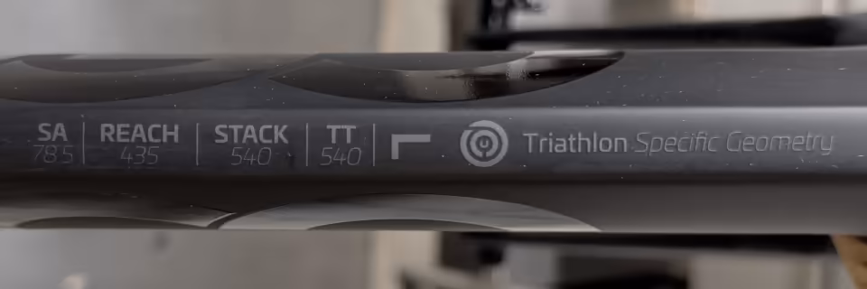 Ceepo Viper — Frame geometry decal